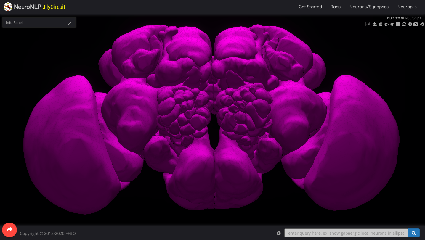 Fig. 1. BrainMapsViz (FiyCircuit dataset)