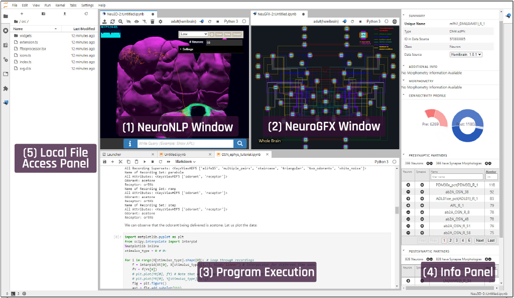 Fig. 3. FlyBrainLab 使用者介面 (Credit: Lazar et al. (2021) Fig. 2b)